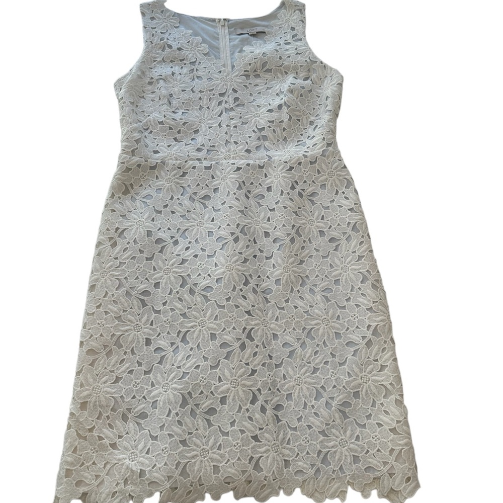 RELISTED LOFT White Lace Dress with Pale Blue Underlay NWT Women’s Size 8 Petite - Picture 6 of 12